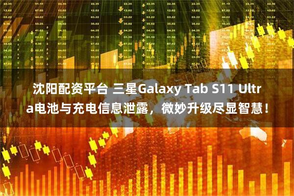沈阳配资平台 三星Galaxy Tab S11 Ultra电池与充电信息泄露，微妙升级尽显智慧！
