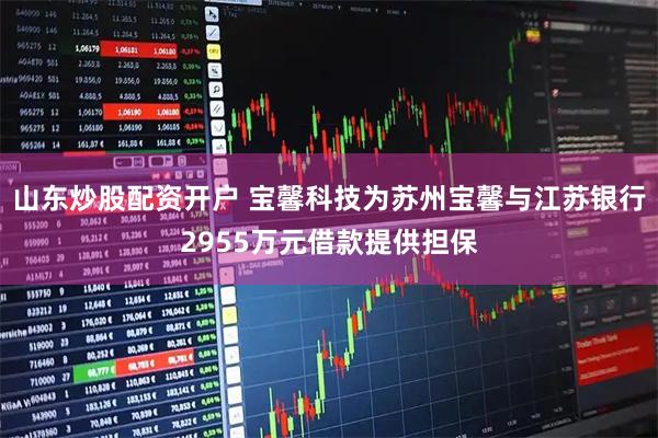 山东炒股配资开户 宝馨科技为苏州宝馨与江苏银行2955万元借款提供担保